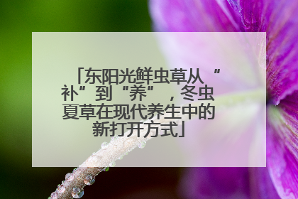 东阳光鲜虫草从“补”到“养”，冬虫夏草在现代养生中的新打开方式